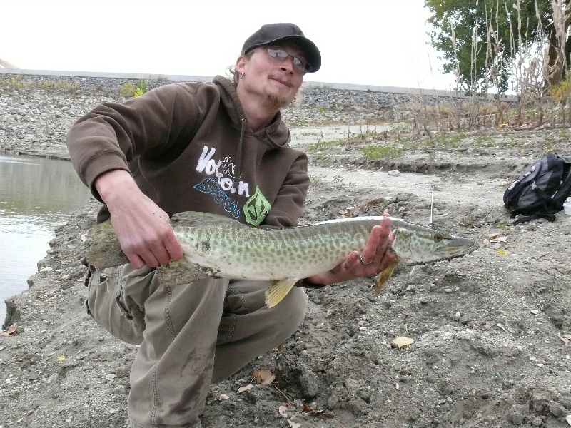 Tiger Muskie near Weston